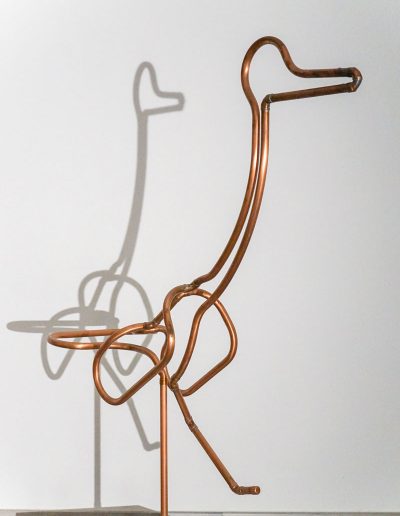 Stapffüßler mit Schatten